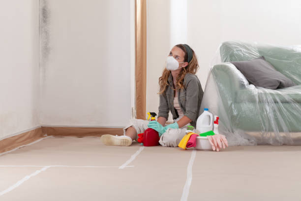 Reliable Mold Remediation contractor in Canton, IL by WQB Mold Removal